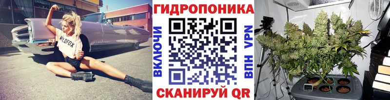 Купить закладки  Новосибирск  Бошки Шишки OG Kush 